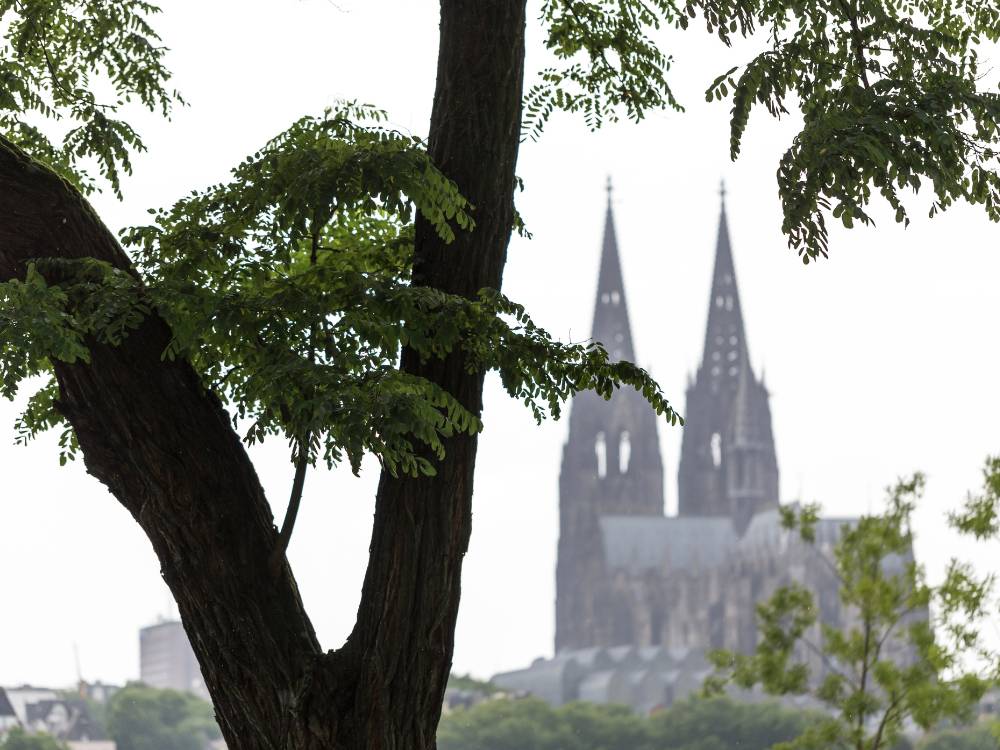What to Do in Cologne when it’s Raining – 20 Ideas