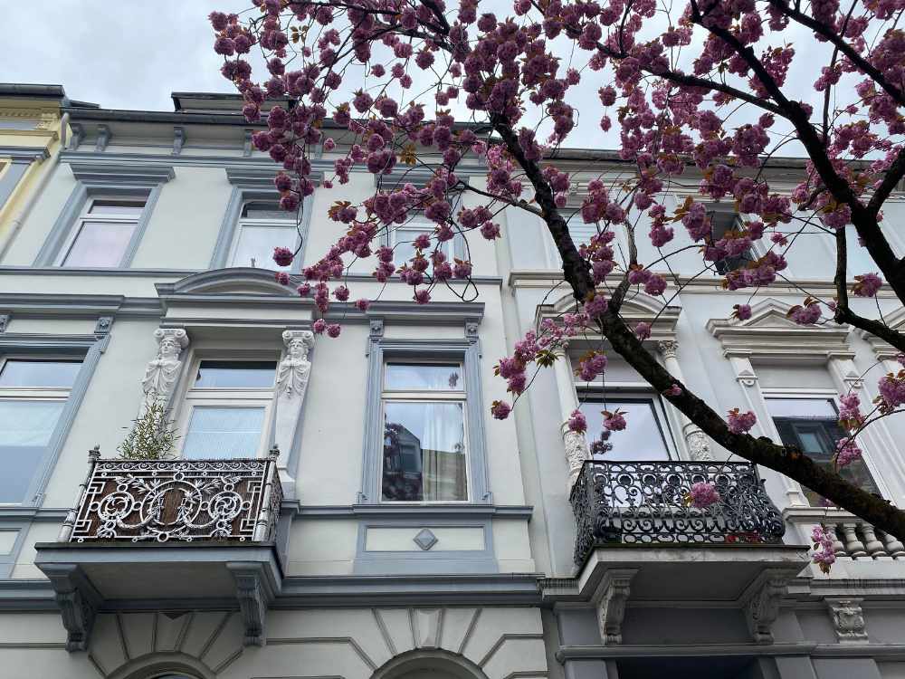 How to Spend a Day in Bonn in Spring?