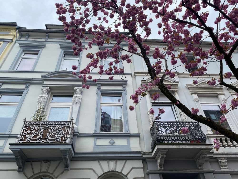 Old Houses in Heerstrasse