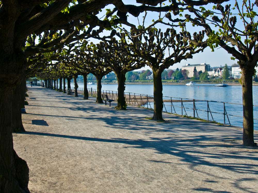 Bonn in March: Weather Info & Travel Tips