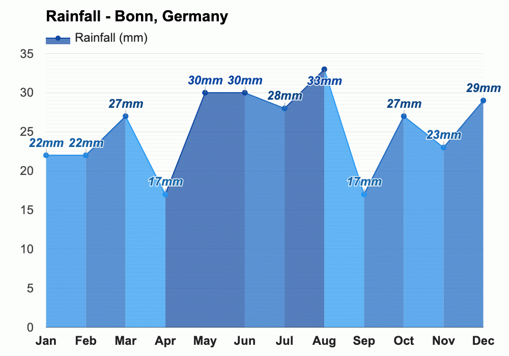 Rain in Bonn in January