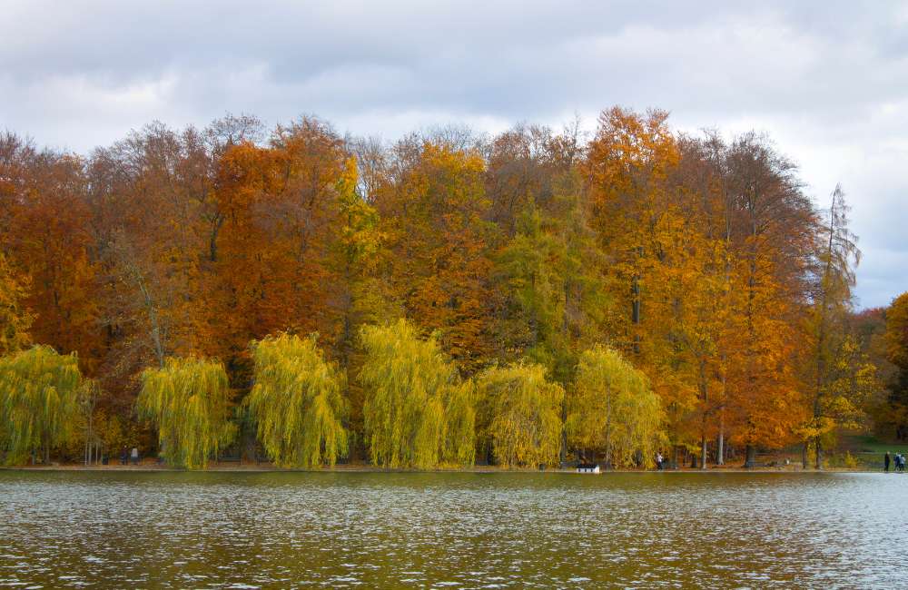 Adenauer Weiher in November