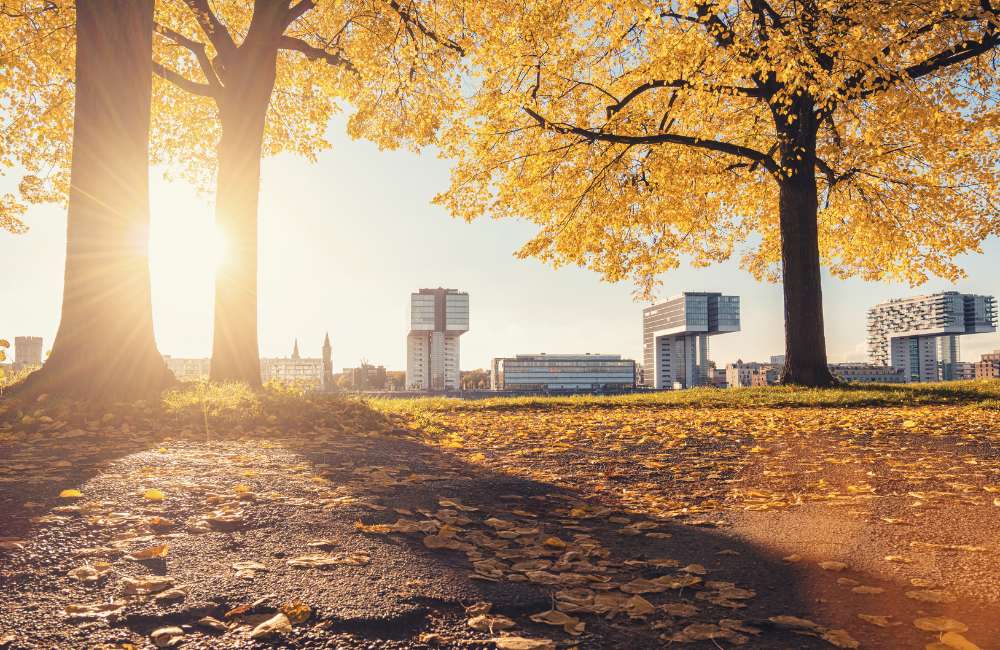 Golden October in Cologne